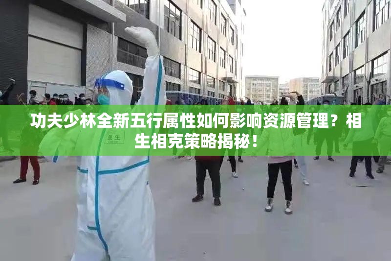 功夫少林全新五行属性如何影响资源管理？相生相克策略揭秘！