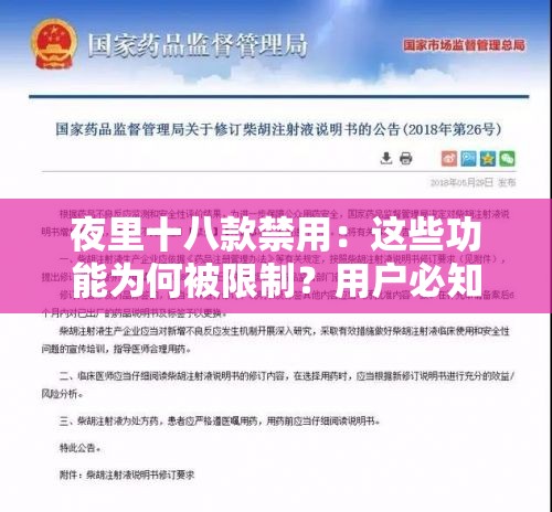 夜里十八款禁用：这些功能为何被限制？用户必知的详细解析与应对策略