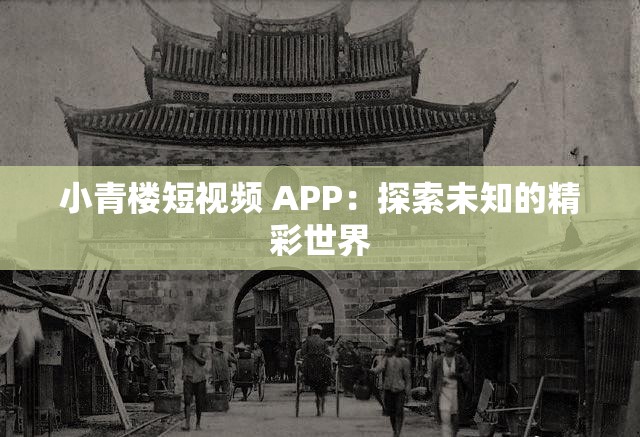 小青楼短视频 APP：探索未知的精彩世界