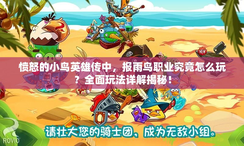 愤怒的小鸟英雄传中，报雨鸟职业究竟怎么玩？全面玩法详解揭秘！