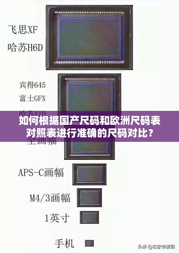 如何根据国产尺码和欧洲尺码表对照表进行准确的尺码对比？