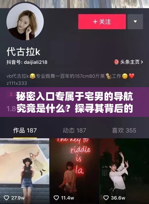 秘密入口专属于宅男的导航究竟是什么？探寻其背后的神秘世界