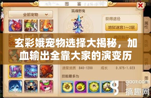 玄彩娥宠物选择大揭秘，加血输出全靠大家的演变历程是怎样的？