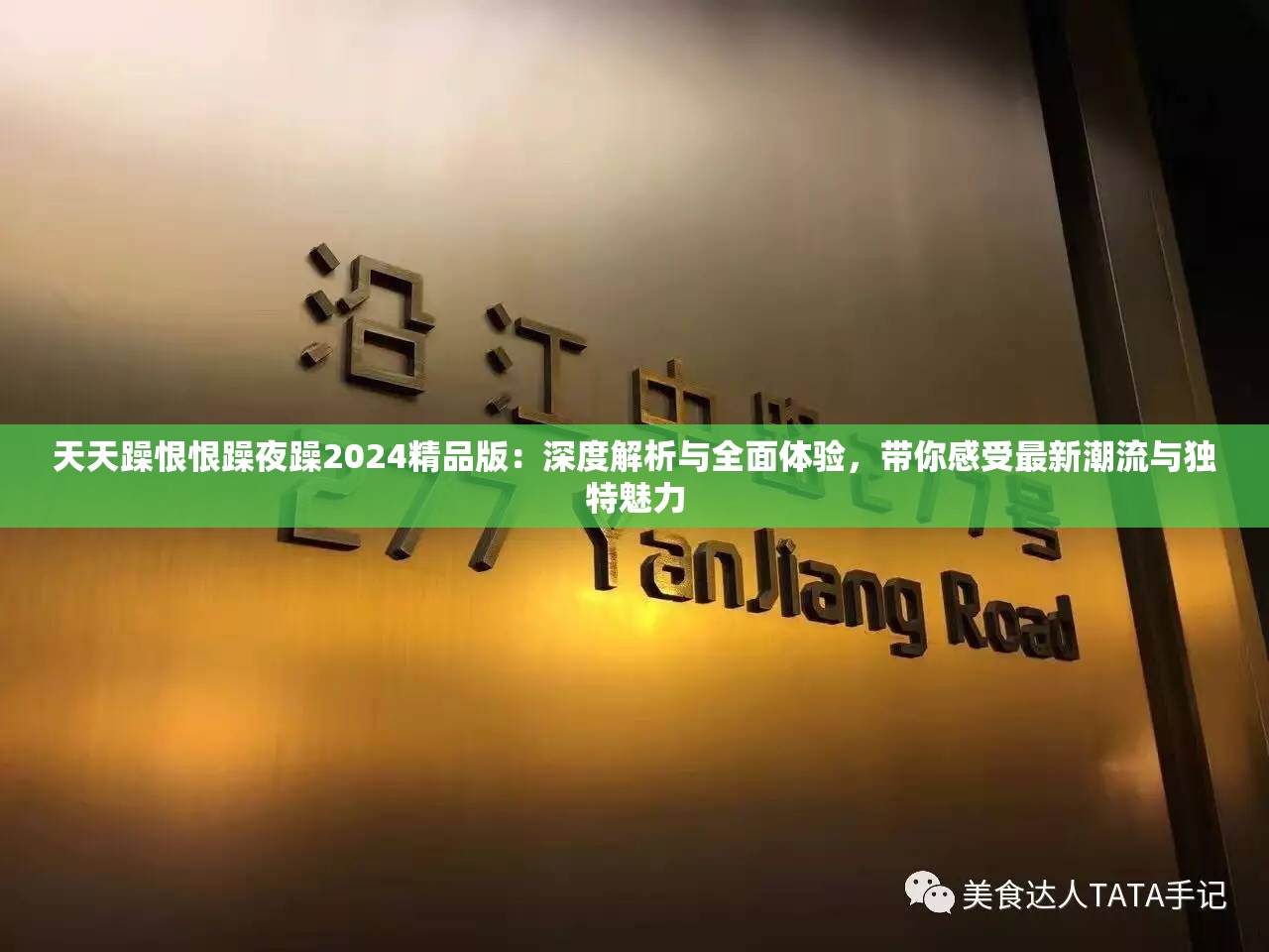 天天躁恨恨躁夜躁2024精品版：深度解析与全面体验，带你感受最新潮流与独特魅力