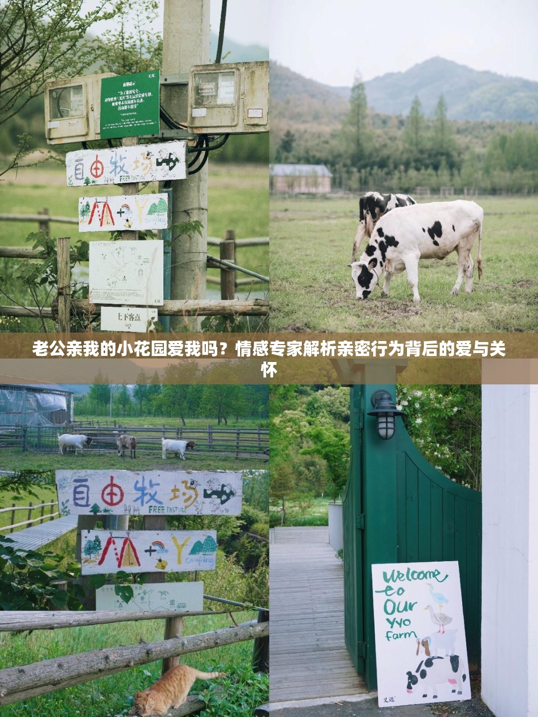 老公亲我的小花园爱我吗？情感专家解析亲密行为背后的爱与关怀