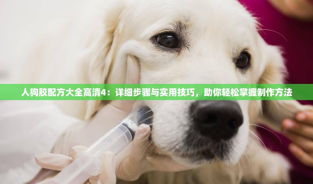 人狗胶配方大全高清4：详细步骤与实用技巧，助你轻松掌握制作方法