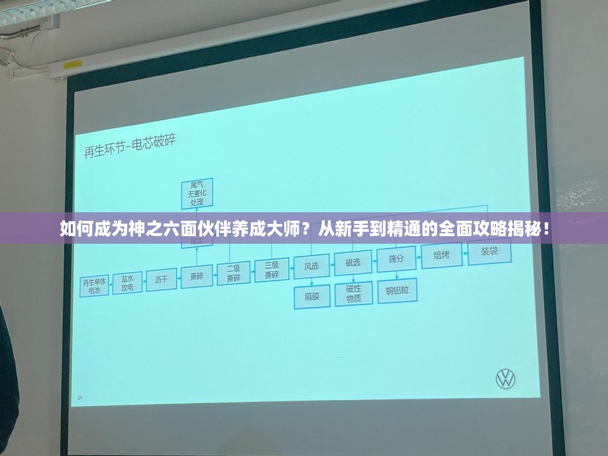 如何成为神之六面伙伴养成大师？从新手到精通的全面攻略揭秘！