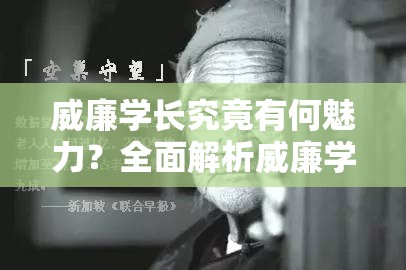 威廉学长究竟有何魅力？全面解析威廉学长详细介绍带你了解