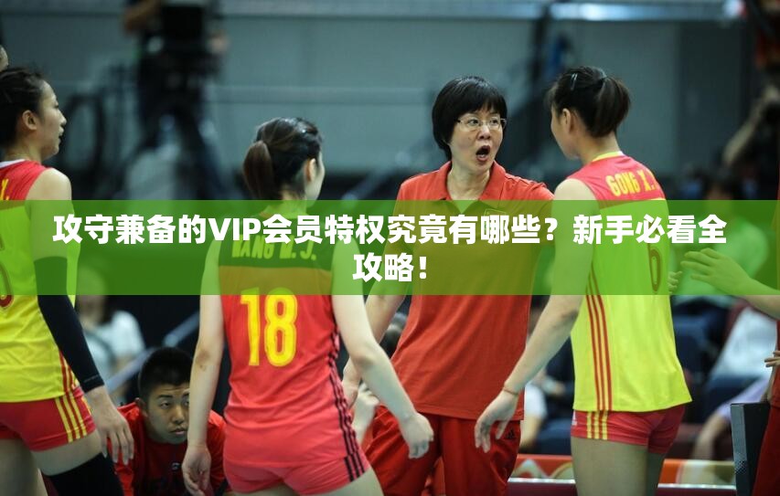 攻守兼备的VIP会员特权究竟有哪些？新手必看全攻略！