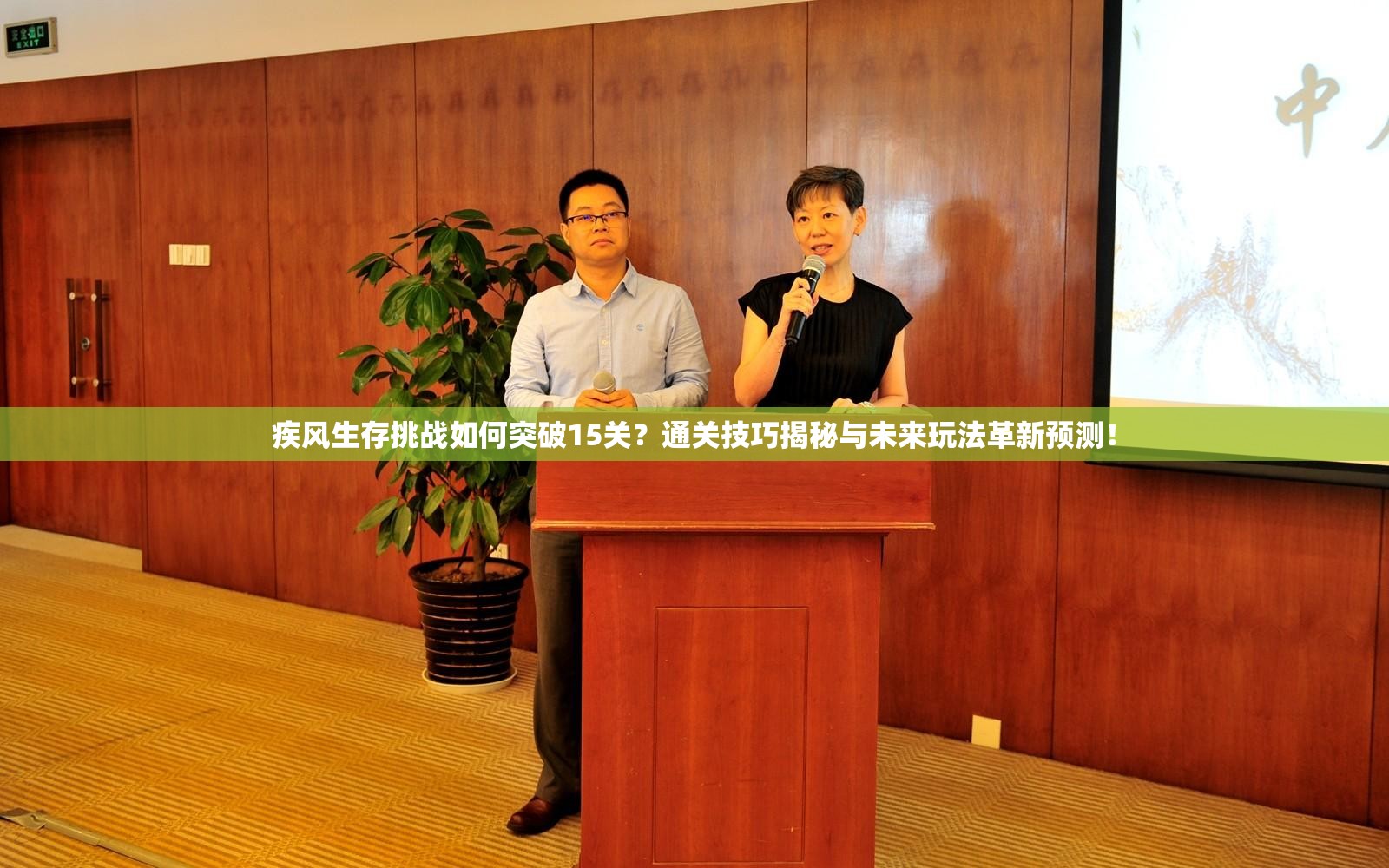 疾风生存挑战如何突破15关？通关技巧揭秘与未来玩法革新预测！