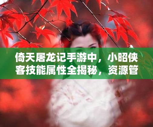 倚天屠龙记手游中，小昭侠客技能属性全揭秘，资源管理策略该如何制定？