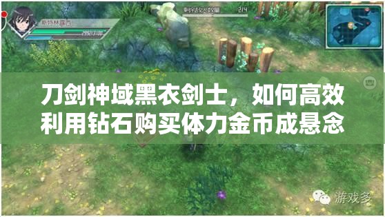 刀剑神域黑衣剑士，如何高效利用钻石购买体力金币成悬念？