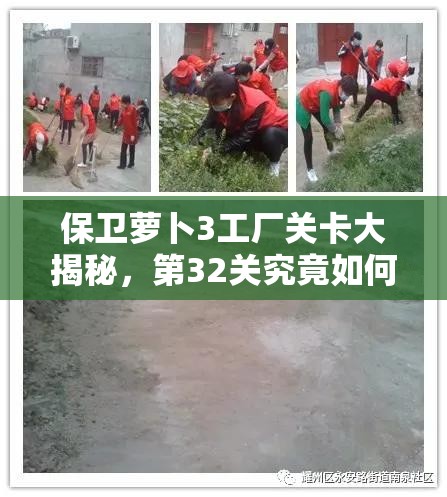 保卫萝卜3工厂关卡大揭秘，第32关究竟如何才能顺利通关？