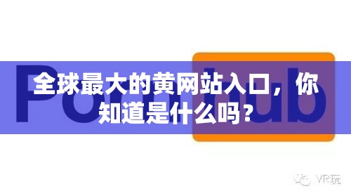 全球最大的黄网站入口，你知道是什么吗？