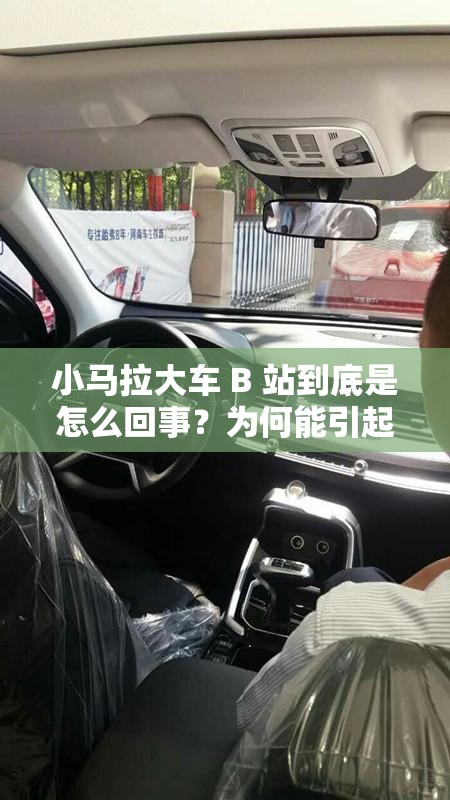 小马拉大车 B 站到底是怎么回事？为何能引起如此大的关注和热议？