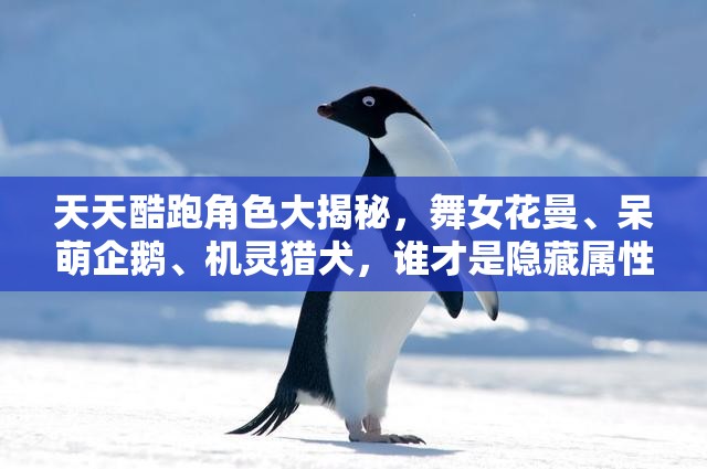天天酷跑角色大揭秘，舞女花曼、呆萌企鹅、机灵猎犬，谁才是隐藏属性之王？