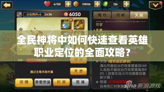 全民神将中如何快速查看英雄职业定位的全面攻略？