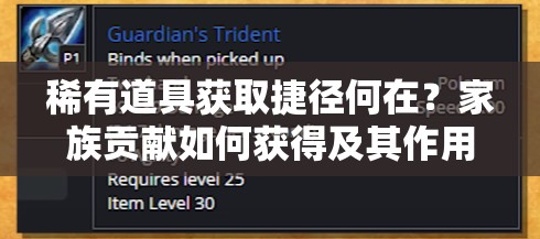 稀有道具获取捷径何在？家族贡献如何获得及其作用大揭秘！