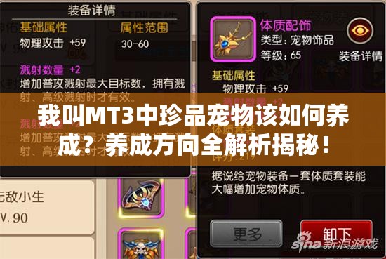 我叫MT3中珍品宠物该如何养成？养成方向全解析揭秘！