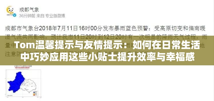 Tom温馨提示与友情提示：如何在日常生活中巧妙应用这些小贴士提升效率与幸福感