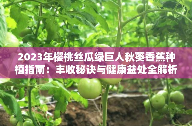 2023年樱桃丝瓜绿巨人秋葵香蕉种植指南：丰收秘诀与健康益处全解析