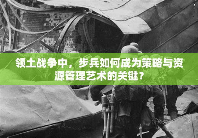 领土战争中，步兵如何成为策略与资源管理艺术的关键？