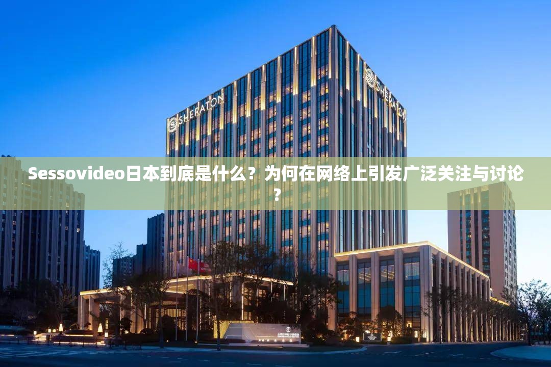 Sessovideo日本到底是什么？为何在网络上引发广泛关注与讨论？