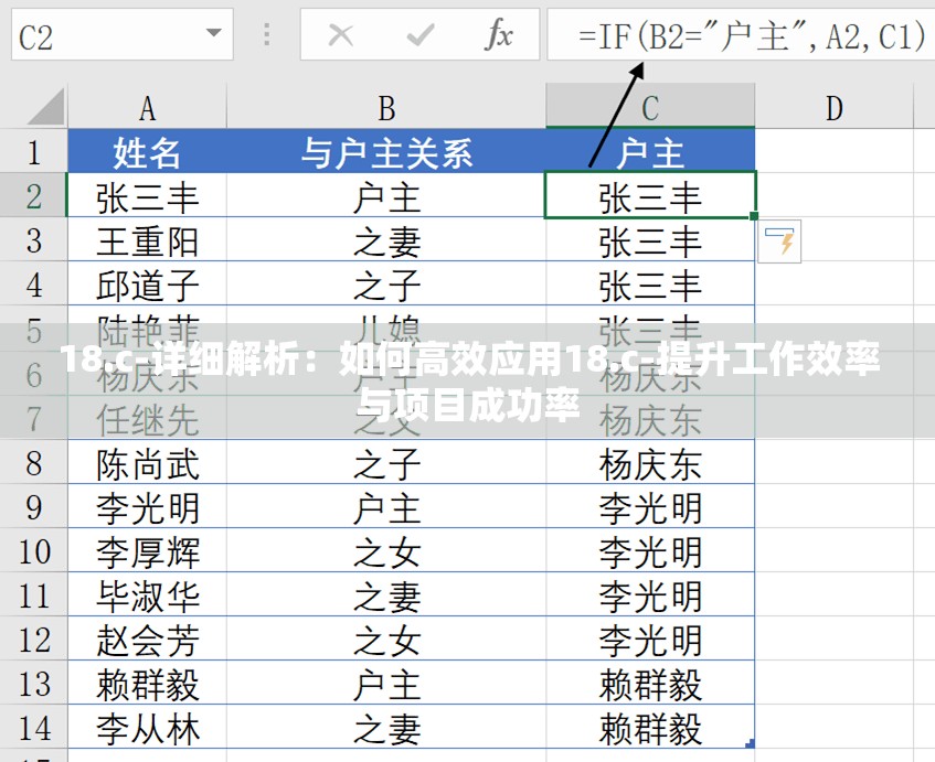 18.c-详细解析：如何高效应用18.c-提升工作效率与项目成功率