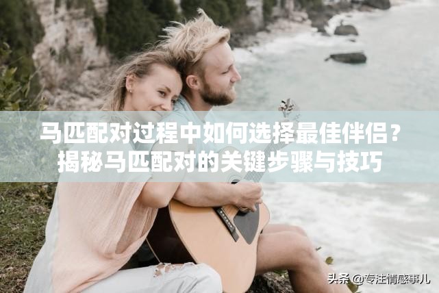 马匹配对过程中如何选择最佳伴侣？揭秘马匹配对的关键步骤与技巧