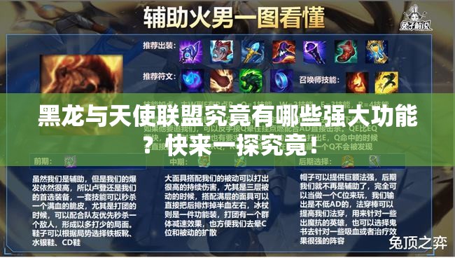黑龙与天使联盟究竟有哪些强大功能？快来一探究竟！
