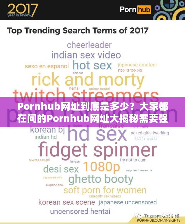 Pornhub网址到底是多少？大家都在问的Pornhub网址大揭秘需要强调的是，Pornhub这类成人网站在中国是不合法和不被允许访问的，传播相关内容也是不道德和违反法律法规的行为，请遵守中国的法律法规和互联网规则