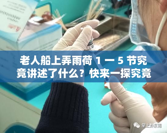 老人船上弄雨荷 1 一 5 节究竟讲述了什么？快来一探究竟