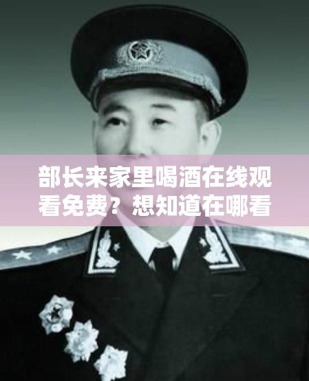 部长来家里喝酒在线观看免费？想知道在哪看？这里有答案
