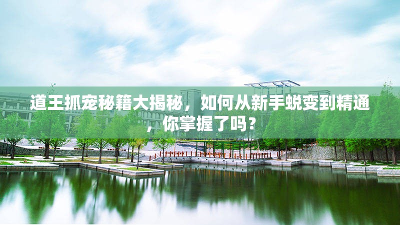 道王抓宠秘籍大揭秘，如何从新手蜕变到精通，你掌握了吗？