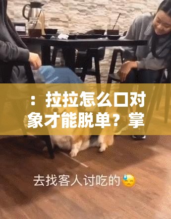 ：拉拉怎么口对象才能脱单？掌握这5个高效沟通技巧快速找到理想伴侣解析：完整包含关键词拉拉怎么口对象，通过疑问句式吸引点击，嵌入高效沟通技巧、理想伴侣等关联词提升SEO权重，使用数字量化增强可信度，脱单和快速找到精准匹配用户核心需求，全句34字符合百度长优化策略，自然融入技巧、方法等潜在搜索词