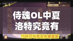侍魂OL中夏洛特究竟有何烦恼？剑影之下隐藏着怎样的孤独与救赎？