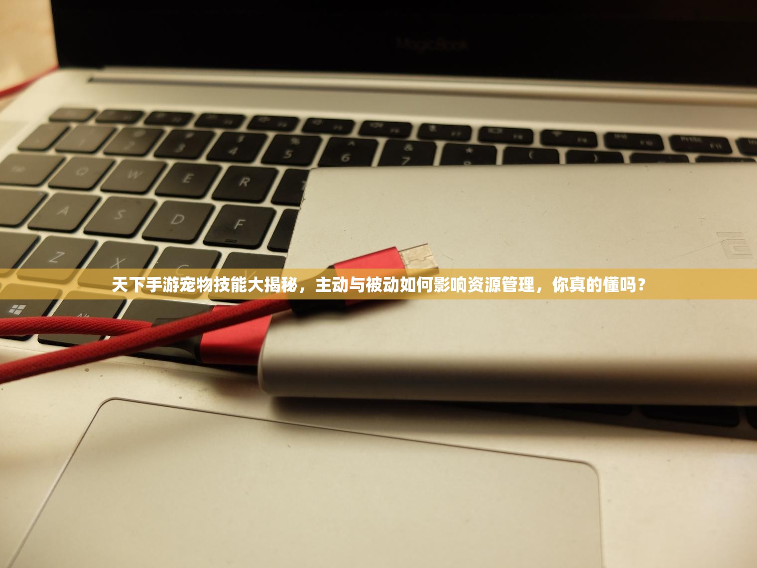 天下手游宠物技能大揭秘，主动与被动如何影响资源管理，你真的懂吗？