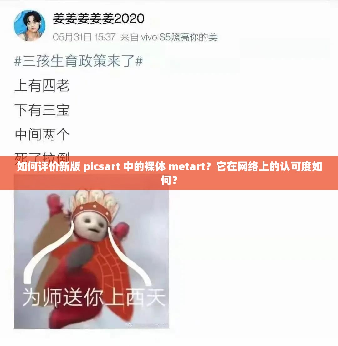 如何评价新版 picsart 中的裸体 metart？它在网络上的认可度如何？