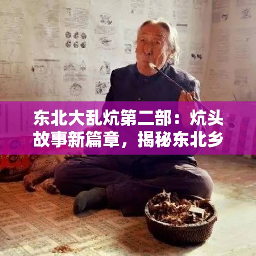 东北大乱炕第二部：炕头故事新篇章，揭秘东北乡村生活的真实面貌与温暖人情