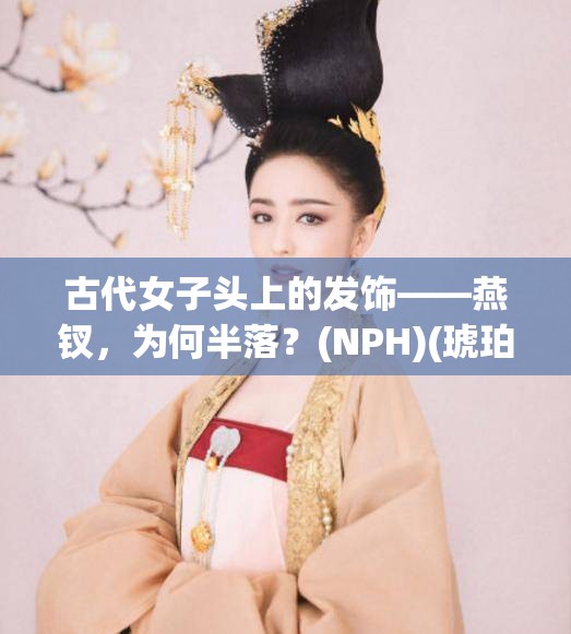 古代女子头上的发饰——燕钗，为何半落？(NPH)(琥珀糖)