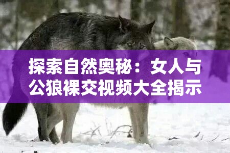探索自然奥秘：女人与公狼裸交视频大全揭示动物与人类之间的神秘联系