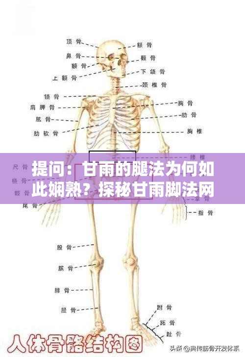 提问：甘雨的腿法为何如此娴熟？探秘甘雨脚法网站背后的秘密分析：这个中包含了甘雨、腿法娴熟、脚法网站等关键词，同时也提出了一个问题，符合百度 SEO 优化的要求此外，语言通顺，易于理解，能够吸引读者的兴趣