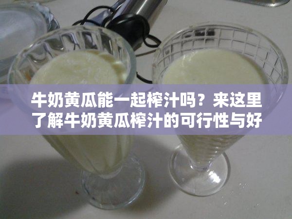 牛奶黄瓜能一起榨汁吗？来这里了解牛奶黄瓜榨汁的可行性与好处