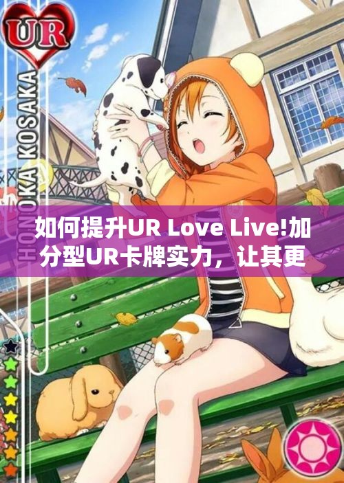 如何提升UR Love Live!加分型UR卡牌实力，让其更加强势无敌？