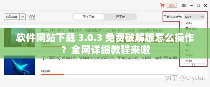 软件网站下载 3.0.3 免费破解版怎么操作？全网详细教程来啦