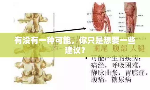 有没有一种可能，你只是想要一些建议？