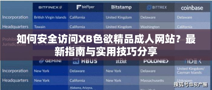 如何安全访问XB色欲精品成人网站？最新指南与实用技巧分享