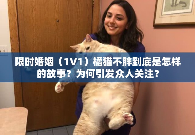 限时婚姻（1V1）橘猫不胖到底是怎样的故事？为何引发众人关注？