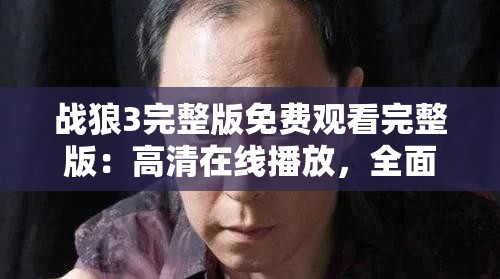 战狼3完整版免费观看完整版：高清在线播放，全面解析剧情与精彩片段