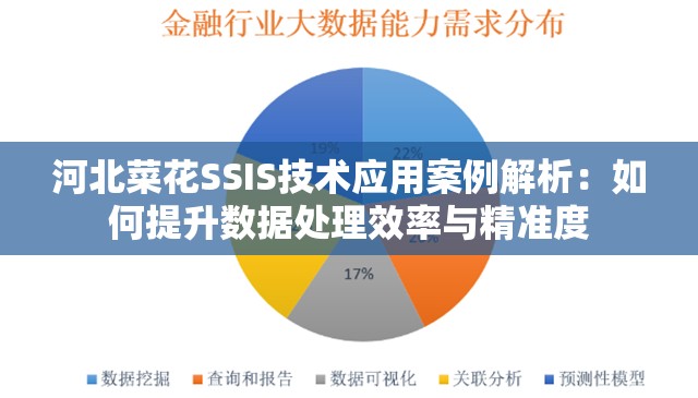 河北菜花SSIS技术应用案例解析：如何提升数据处理效率与精准度